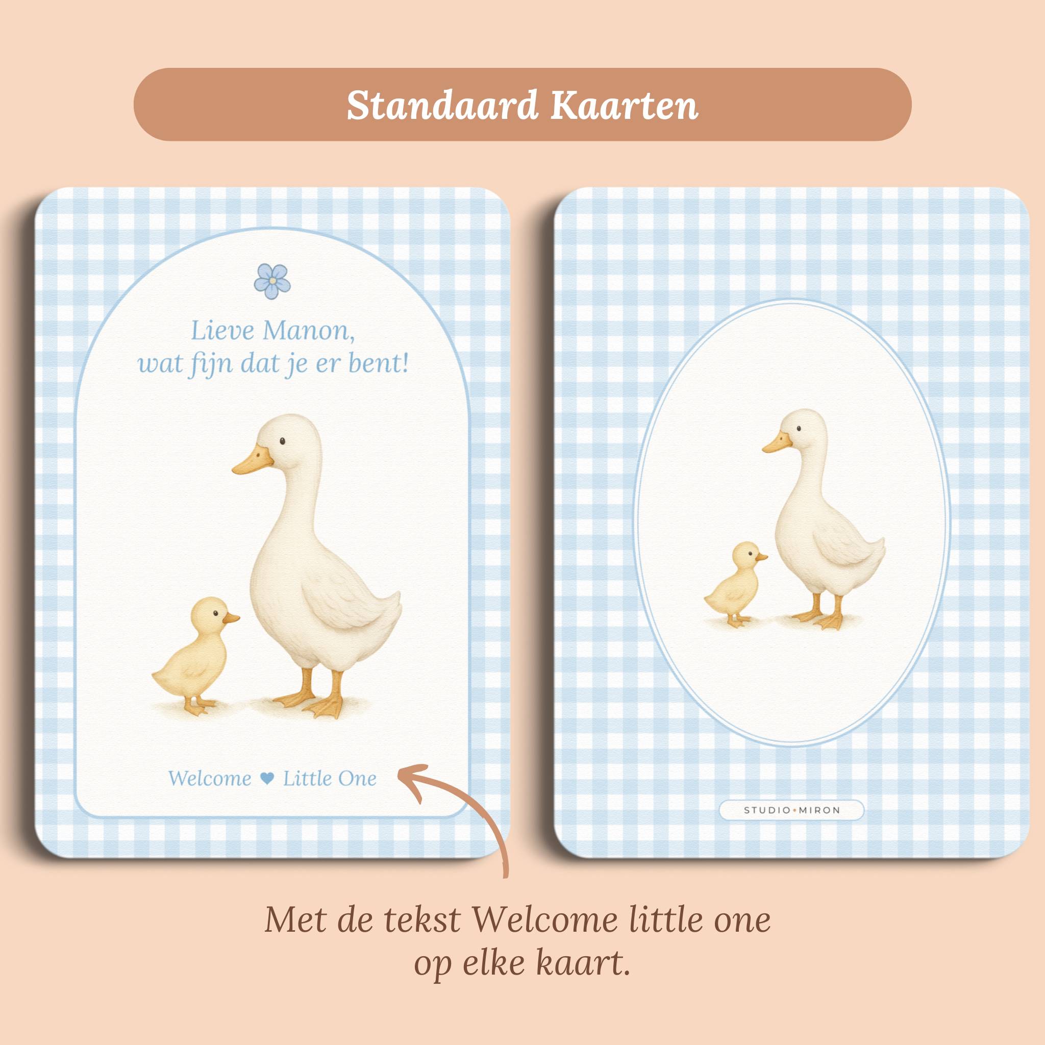 Mini Welkomstbord A6 - Naamkaart | Gingham Blauw