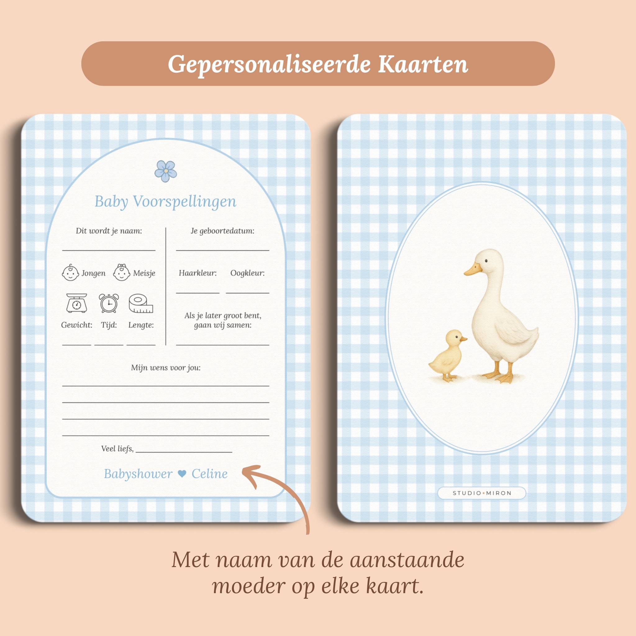 Babyforudsigelser – Ginghamblå med gås