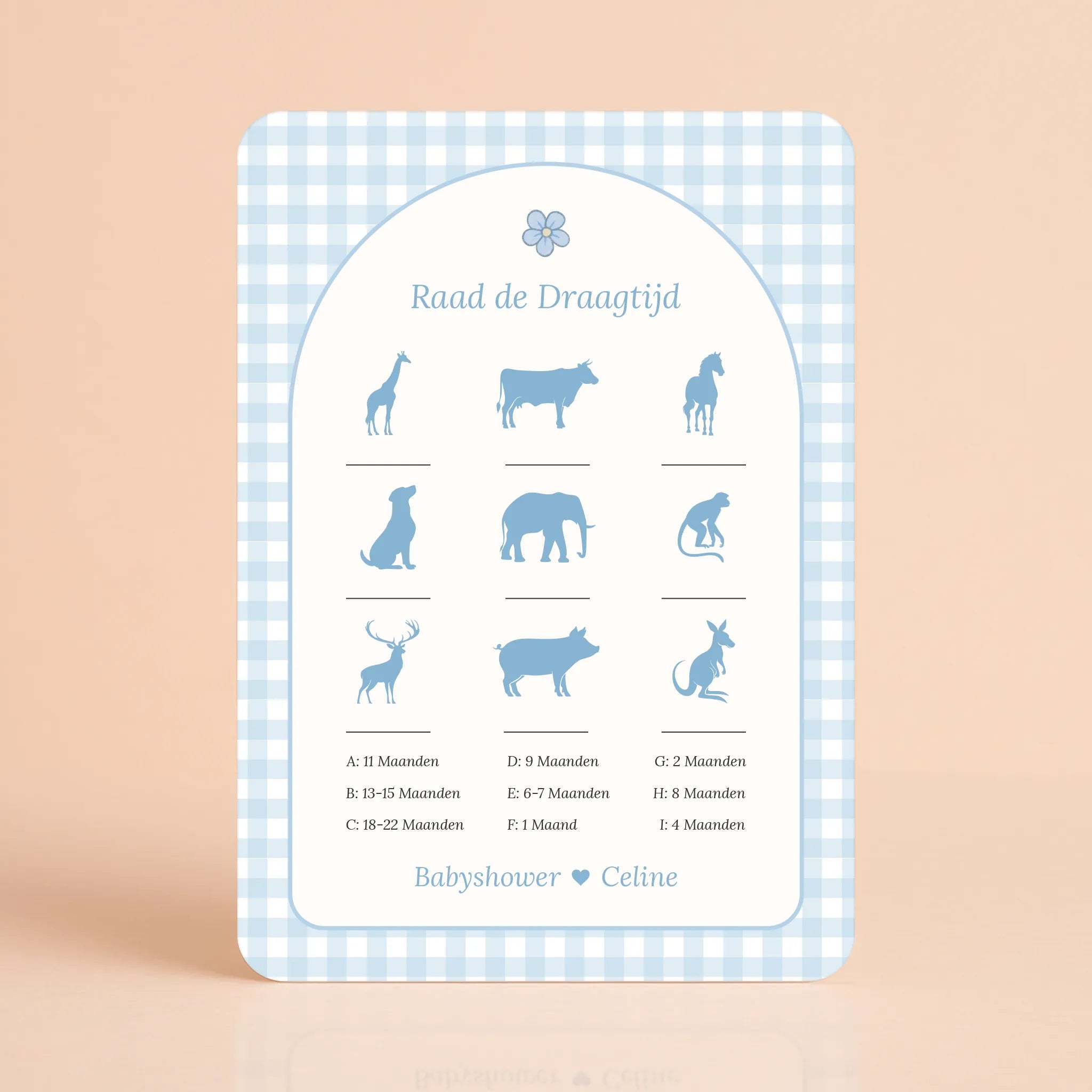 Raad de Draagtijd | Gingham Blauw