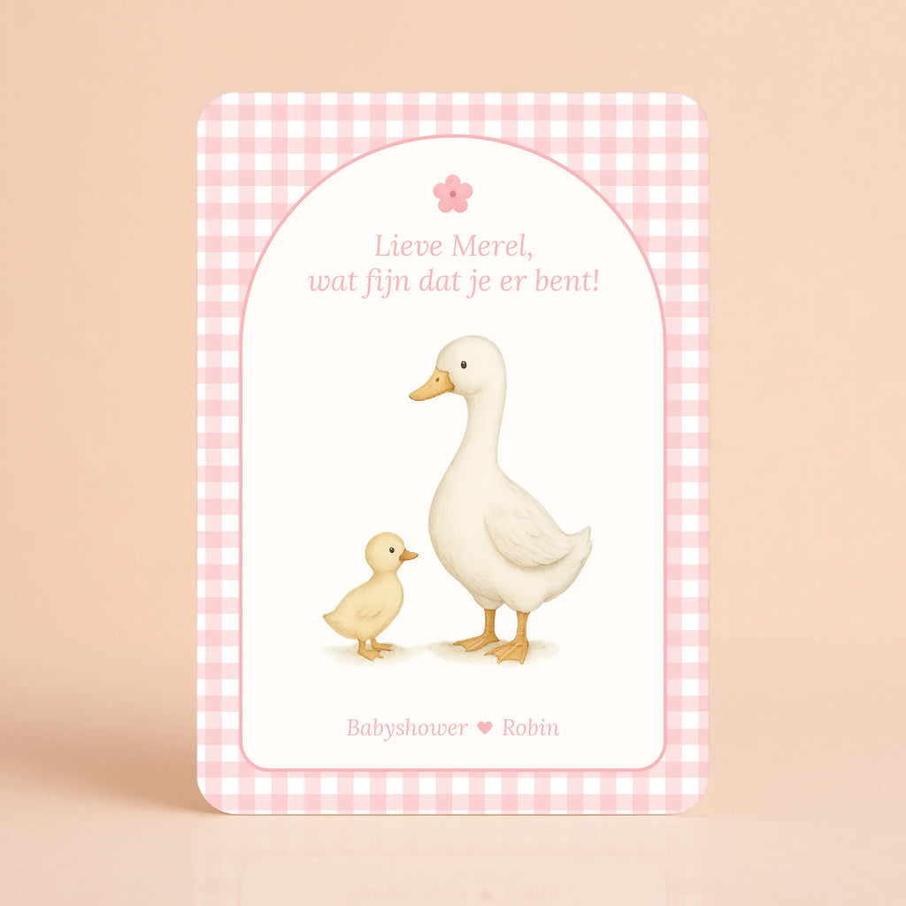 Mini Welkomstbord A6 - Naamkaart | Gingham Roze